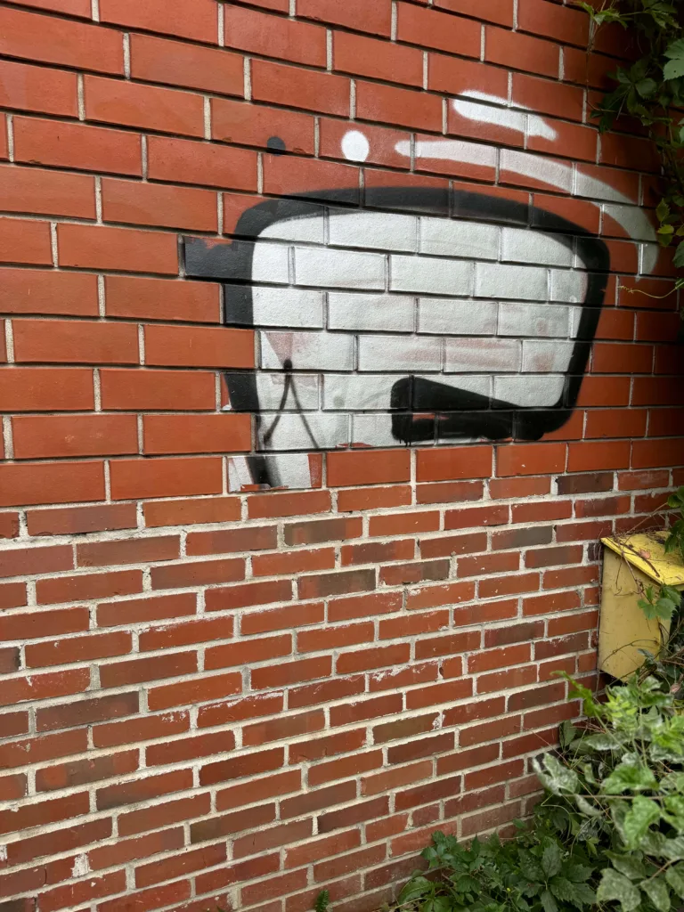 Usuwanie Graffiti i Sadzy Usuwanie Graffiti i Sadzy - IMG 0214